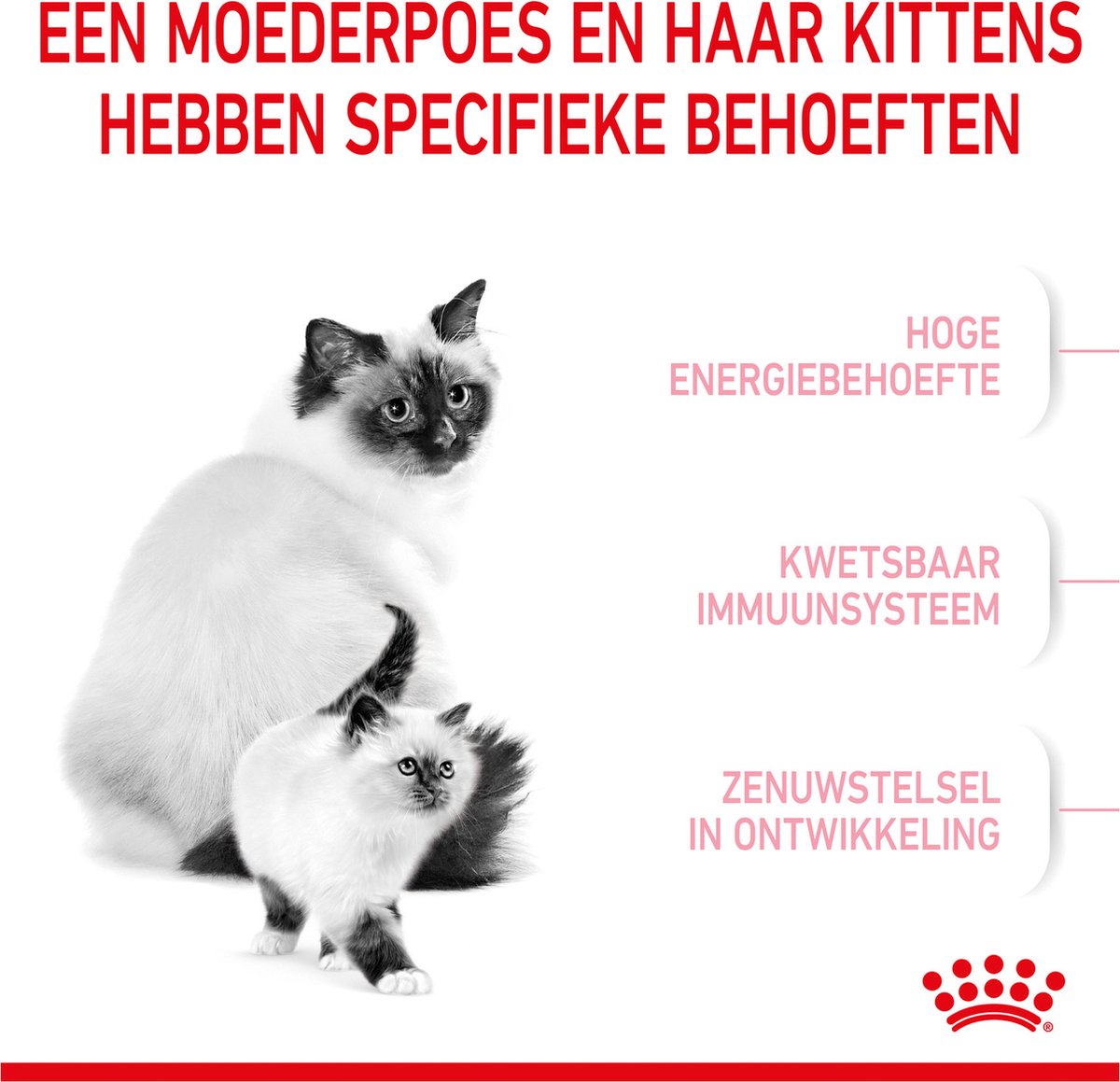  Royal Canin Mother &amp; Babycat - Kattenvoer - 4 Kg