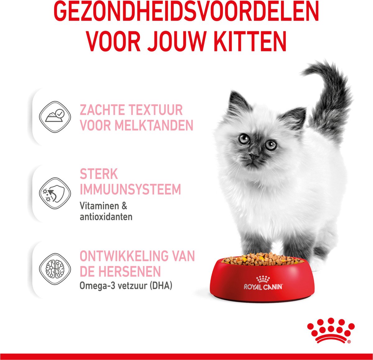  Royal Canin Kitten In Jelly - Kattenvoer - 1020 G