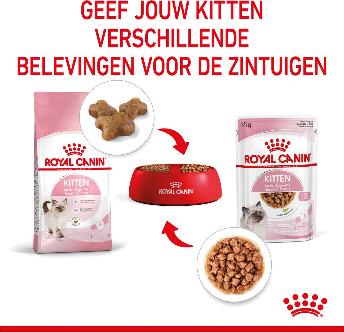  Royal Canin Wet Kitten (12X85 GR)