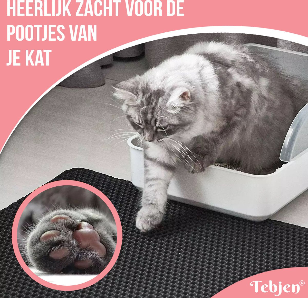  TEBJEN Kattenbakmat – Kattenbak Mat Grit Opvanger - Schoonloop Katten Mat – Dubbele Waterdichte Laag – Uitloopmat Kattenbak – Kattenbak Accessoires - Met Speelgoedmuisje En Schepje - 40x50cm