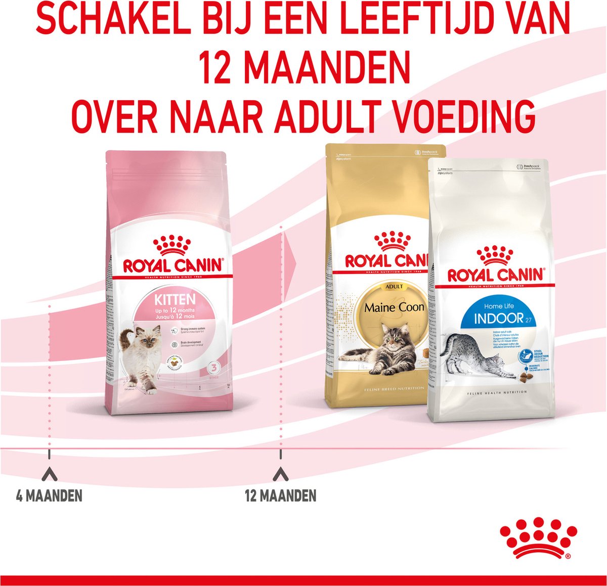  Royal Canin Kitten - Kittenvoer - 4 Kg