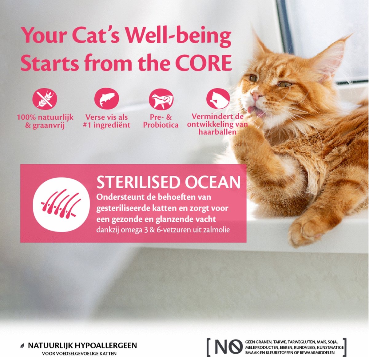 Wellness Core Grain Free Cat Sterilised - Zalm - Kattenvoer - 1.75 Kg