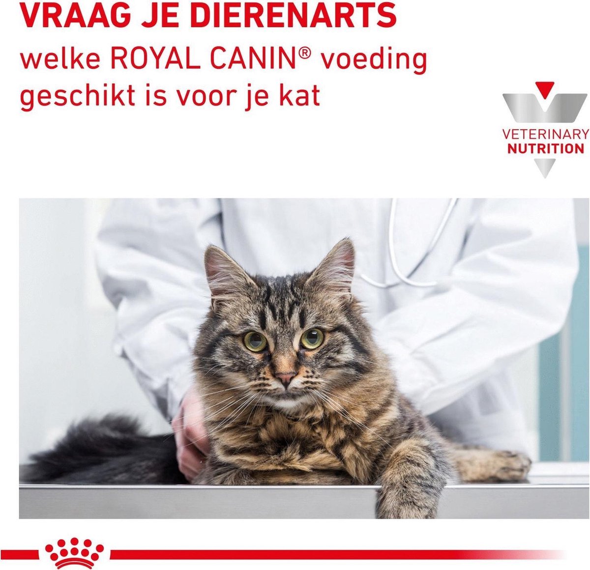  Royal Canin Gastrointestinal Kitten - 2 Kg