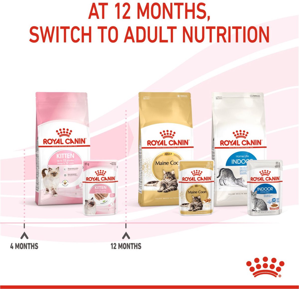  Royal Canin Kitten Loaf - Kitten-Kattenvoer - 12x85 G