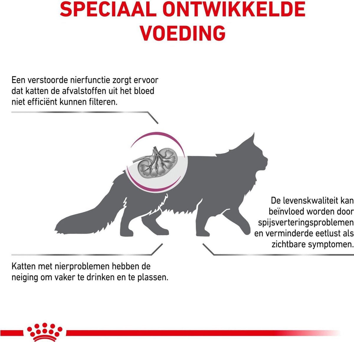  Royal Canin Renal Special - Kattenvoer - 4 Kg