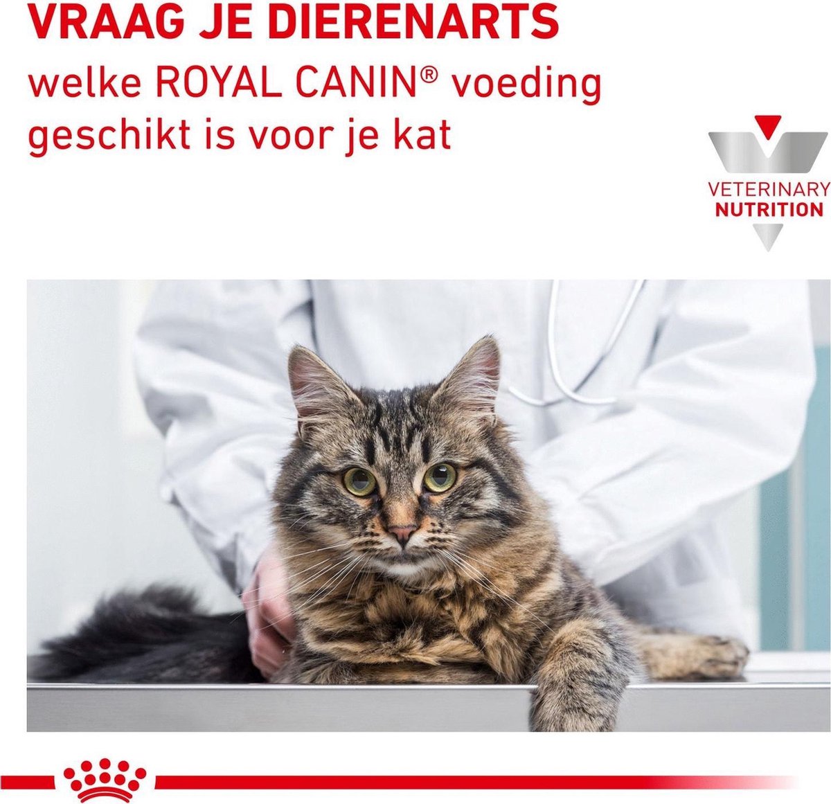  Royal Canin Diabetic - Kattenvoer - 3,5 Kg
