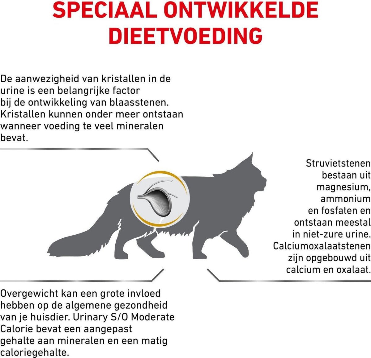  Royal Canin Urinary S/O Moderate Calorie - Kattenvoer - 9 Kg