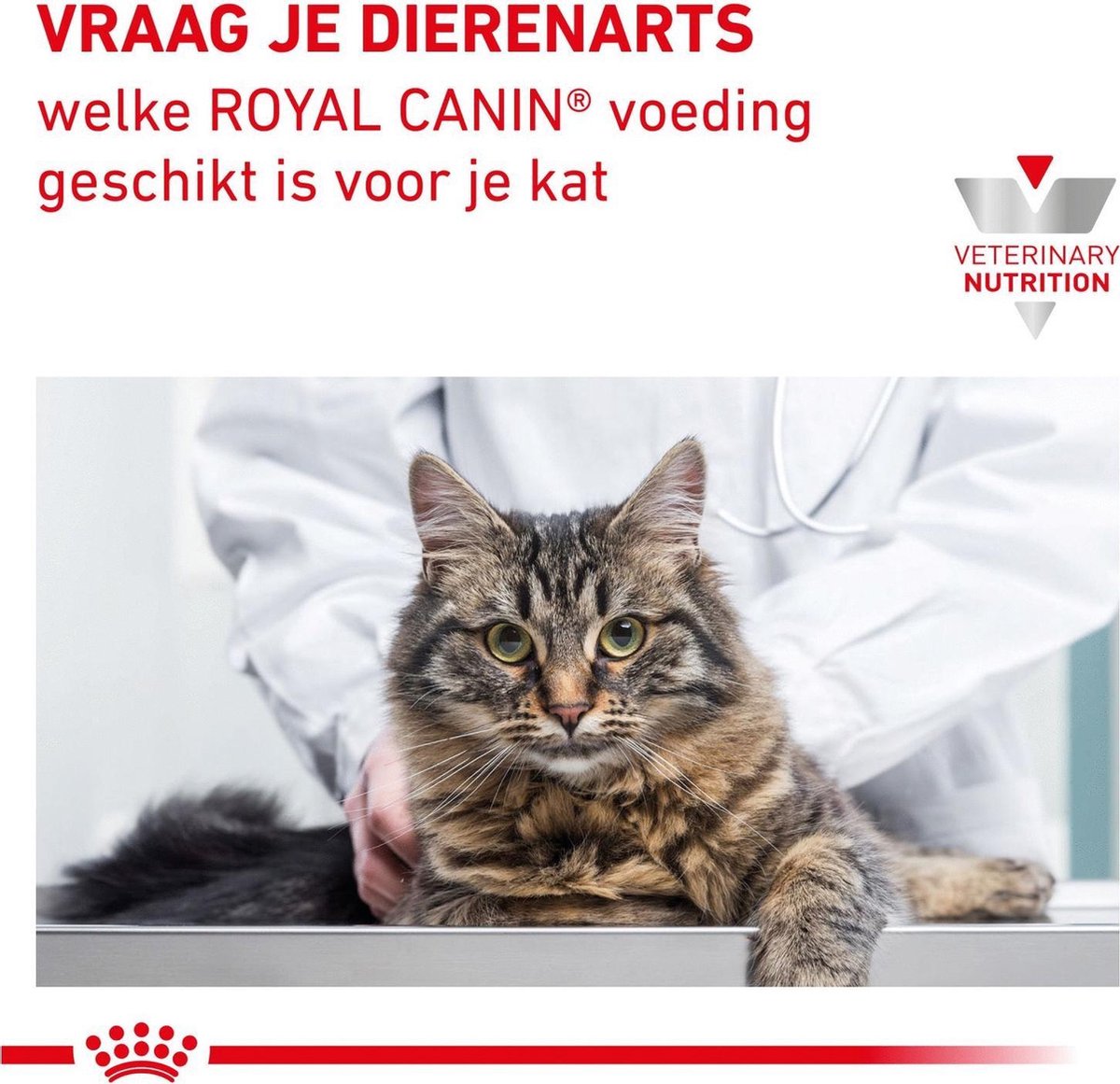  Royal Canin Renal Special - Kattenvoer - 4 Kg