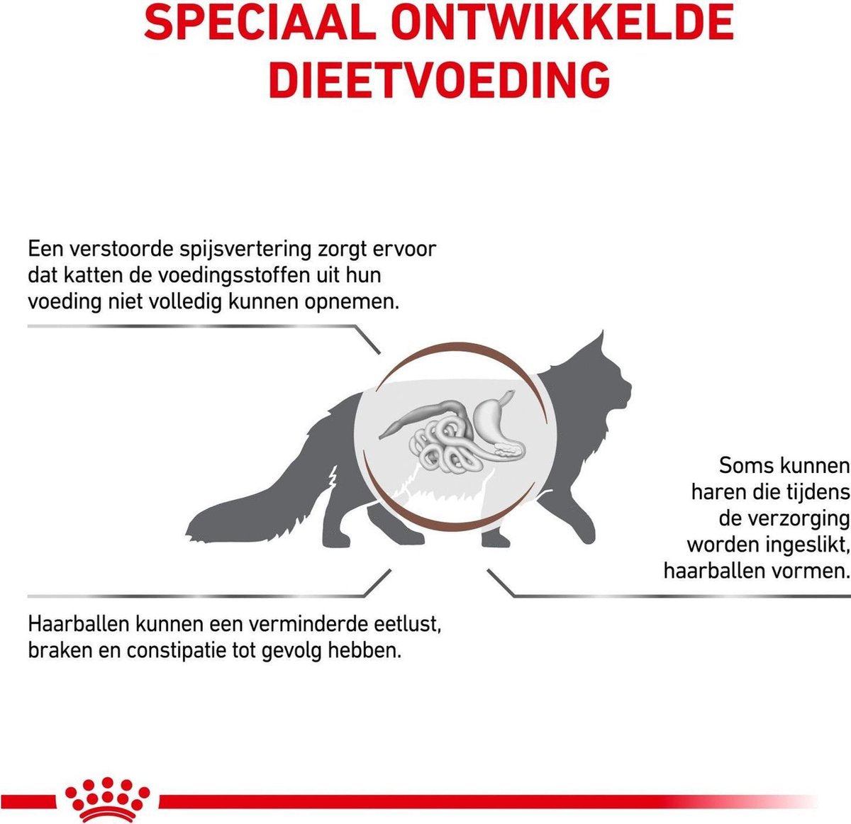  Royal Canin Gastro Intestinal Hairball - Kattenvoer Ter Ondersteuning Bij Haarballen 4 Kg