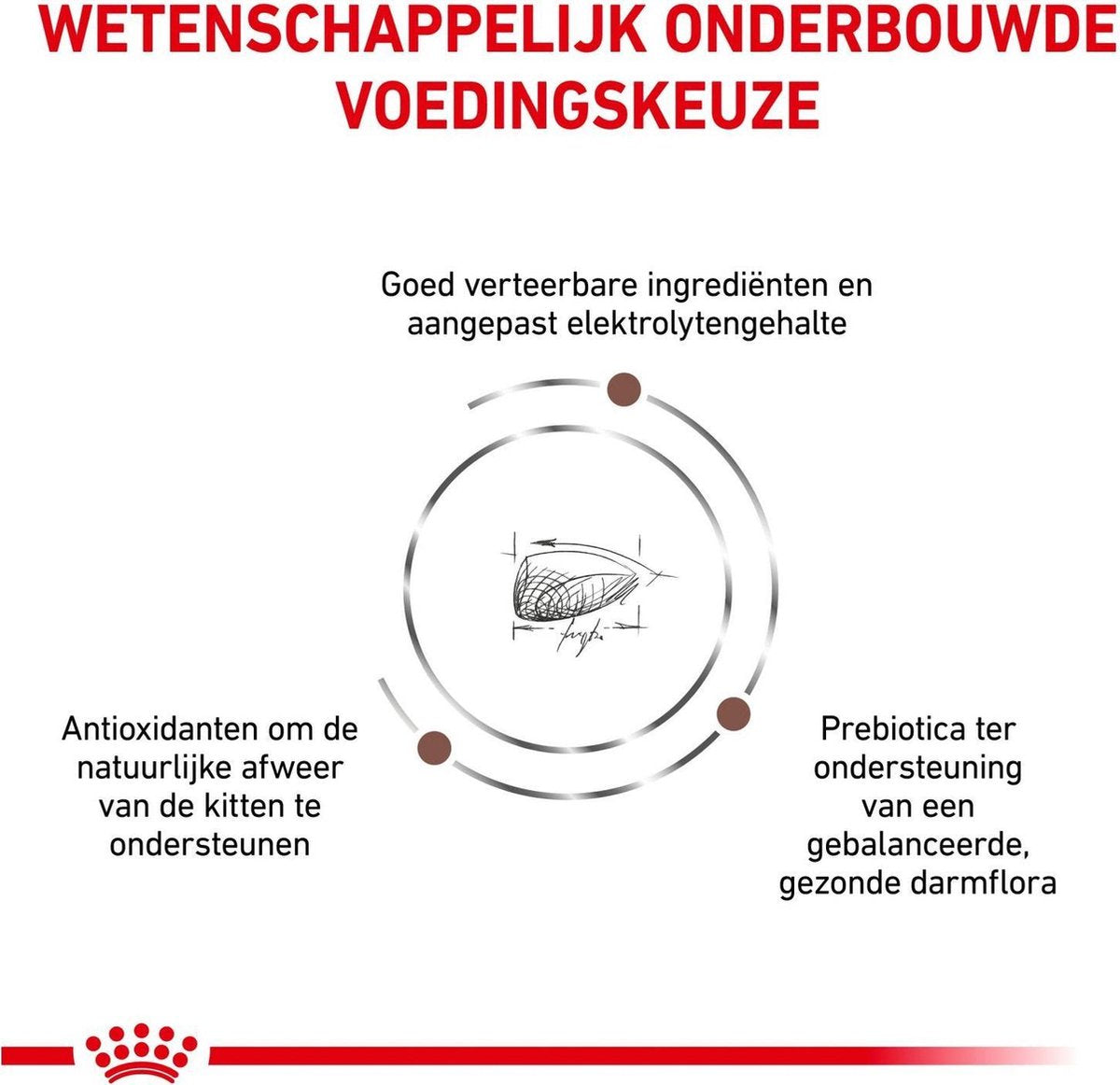  Royal Canin Gastrointestinal Kitten - 2 Kg