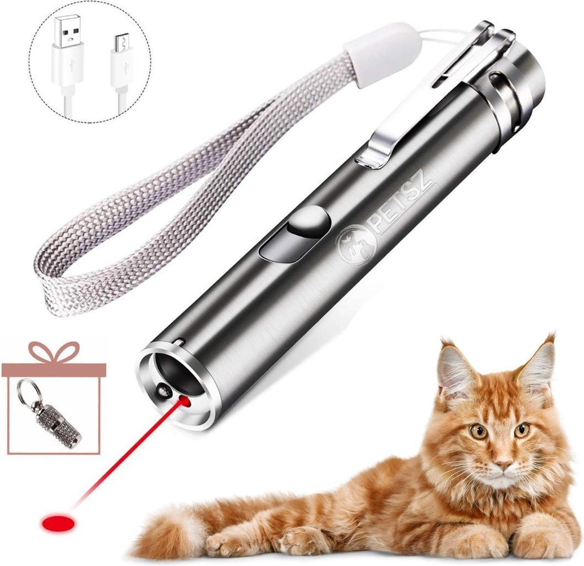  Laserpen - USB - Kattenspeeltjes - Zaklamp - Kat - Laser - Kattenspeelgoed - RVS Opbergblikje