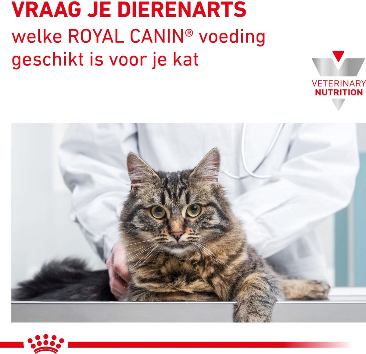  Royal Canin Gastro Intestinal Moderate Calorie Kat 12x85 Gr.