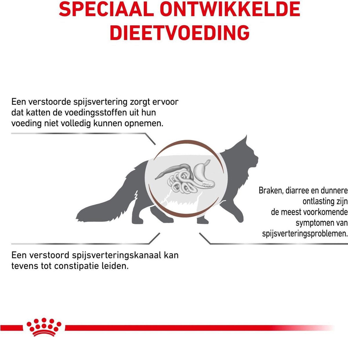  Royal Canin Fibre Response - Kattenvoer - 4 Kg