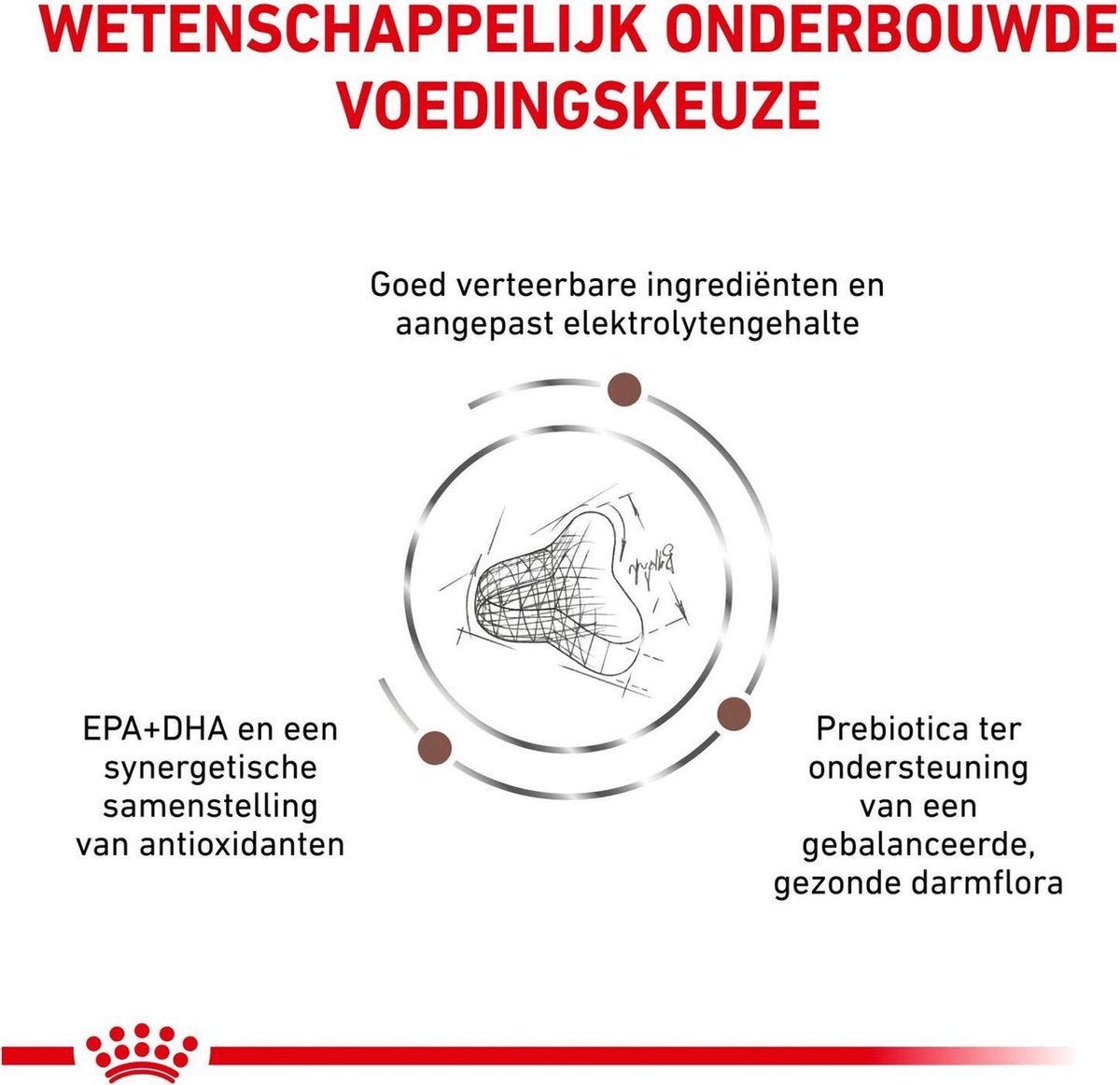  Royal Canin Fibre Response - Kattenvoer - 2 Kg