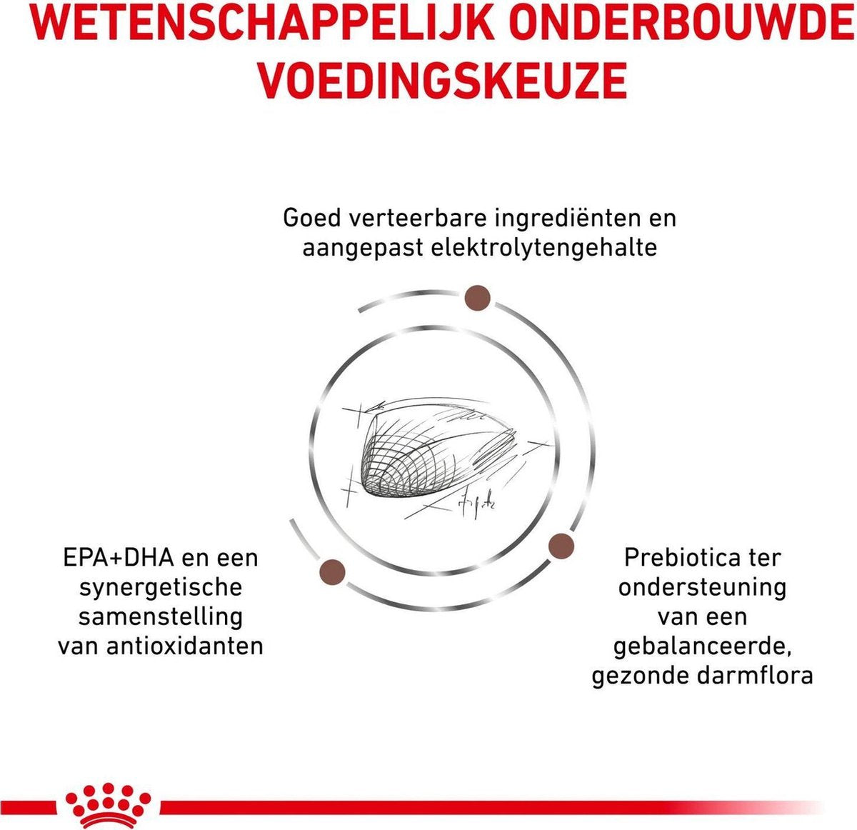  Royal Canin Gastro Intestinal - Kattenvoer - 400 G