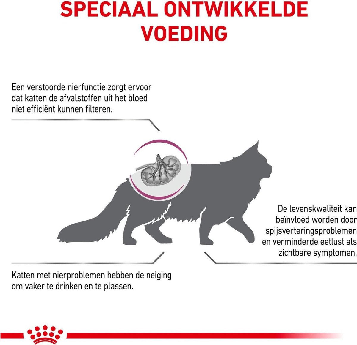  Royal Canin Renal - Kattenvoer - 4 Kg