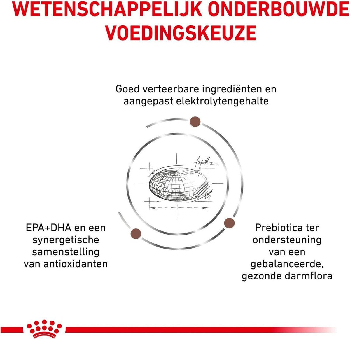  Royal Canin Gastro Intestinal Moderate Calorie - Kattenvoer - 4 Kg