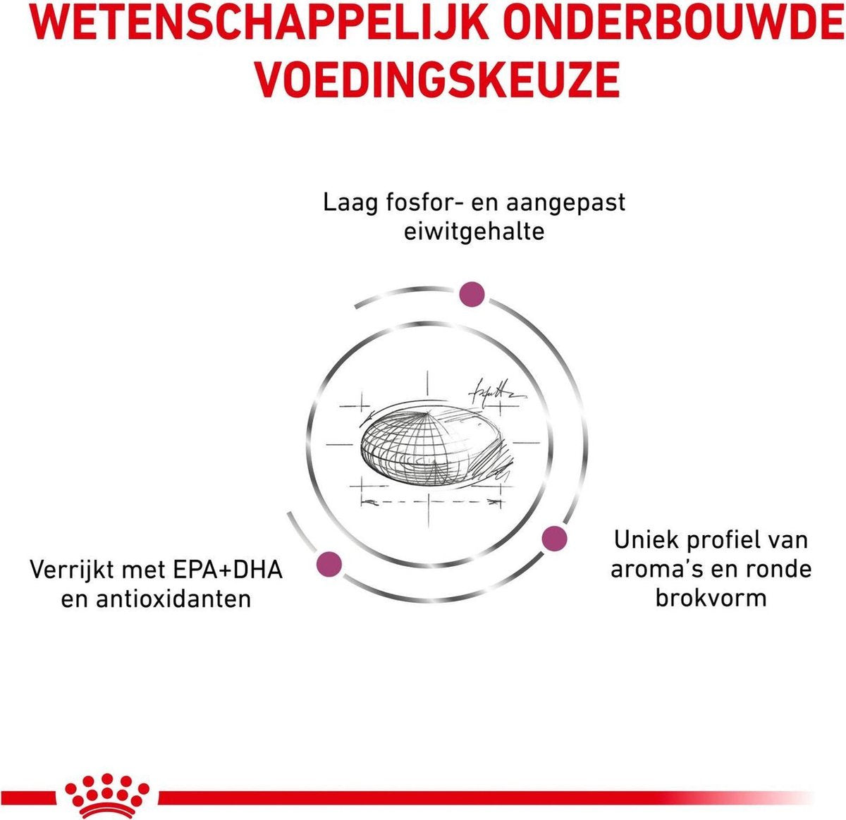  Royal Canin Renal - Kattenvoer - 4 Kg
