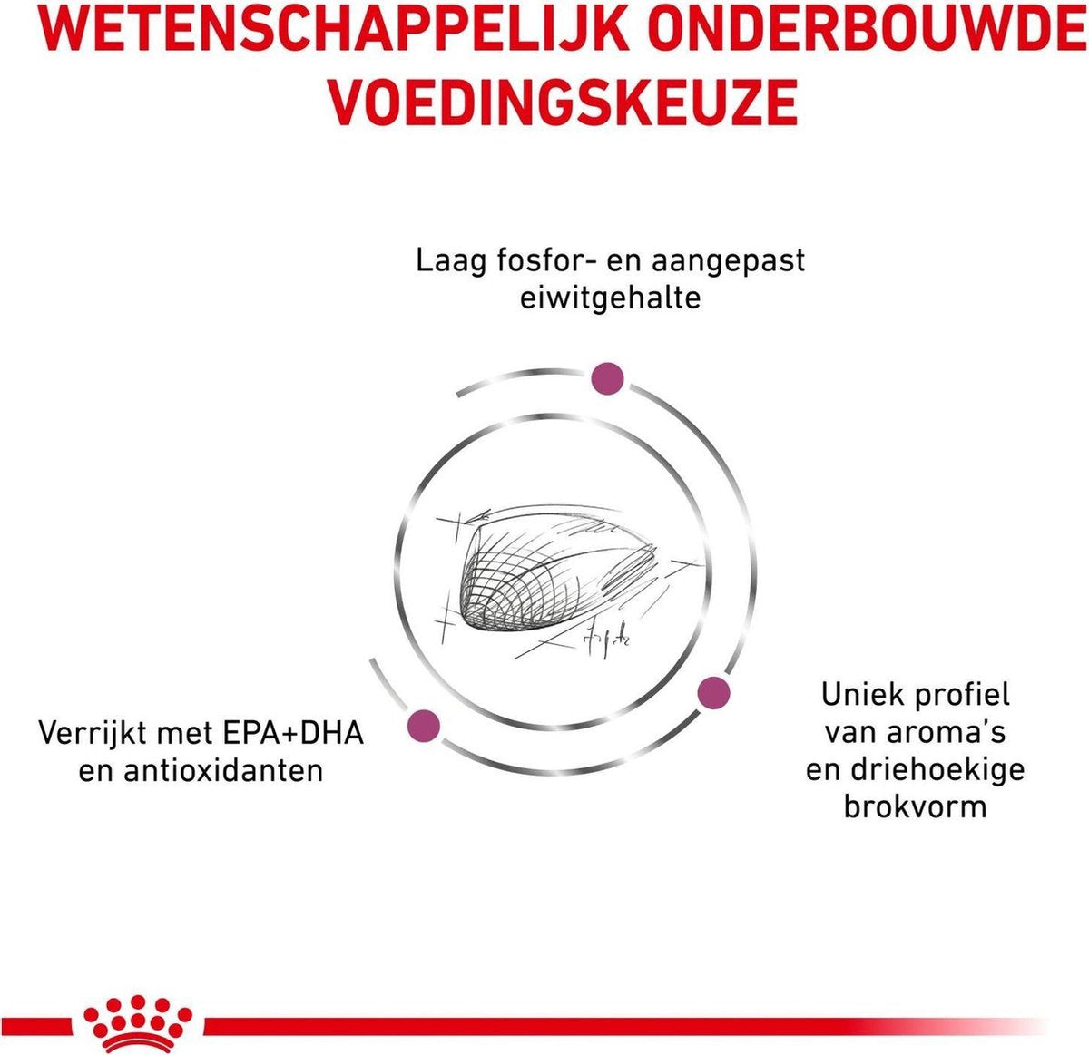  Royal Canin Renal Special - Kattenvoer - 4 Kg