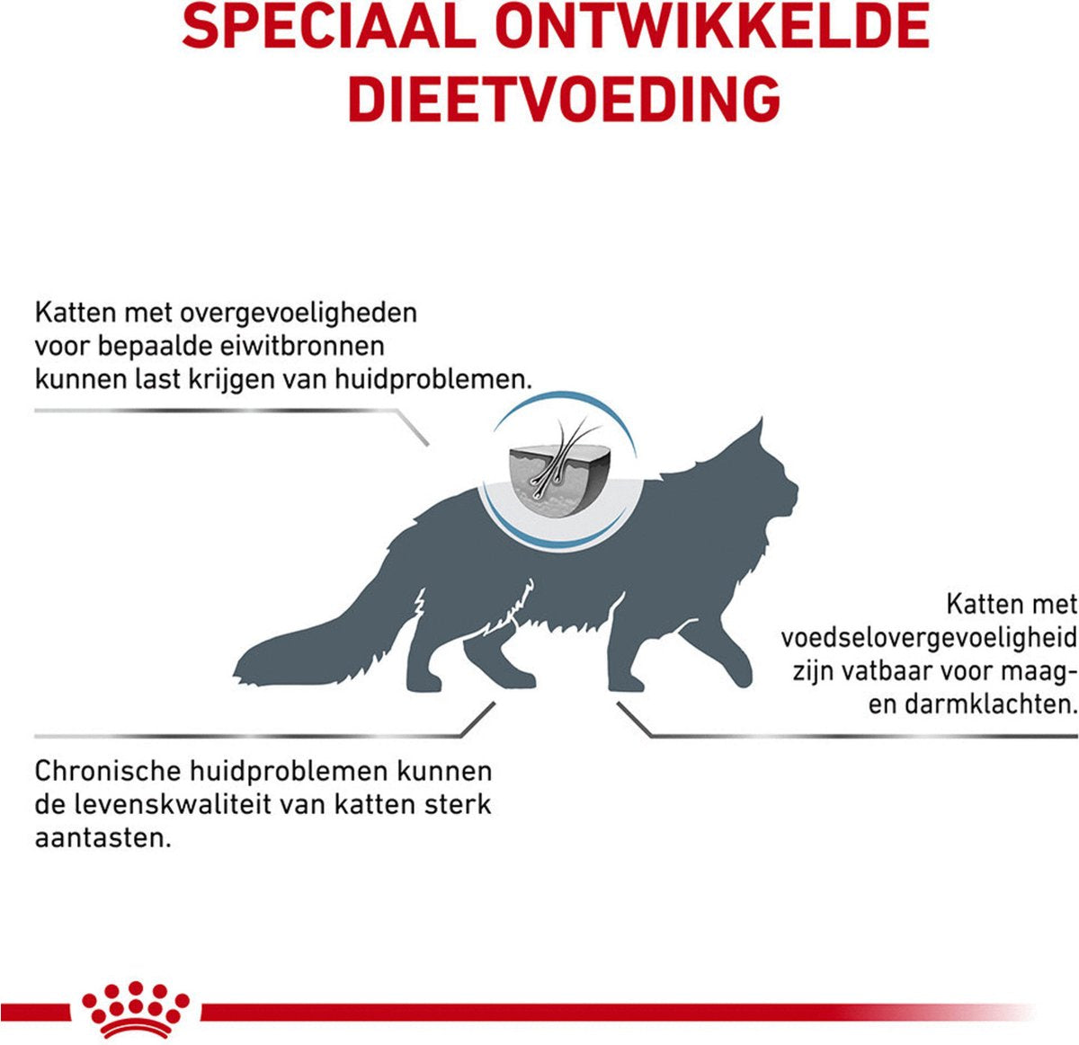  Royal Canin Veterinary Diet Cat Anallergenic - Kattenvoer - 4 Kg