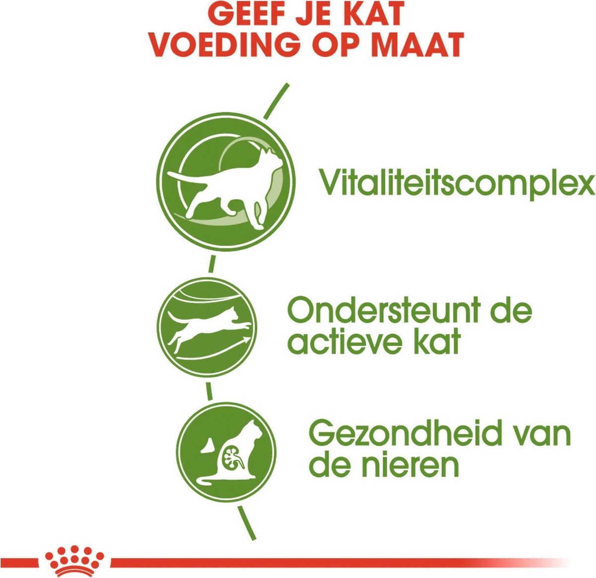  Royal Canin Outdoor 7+ - 4 Kg