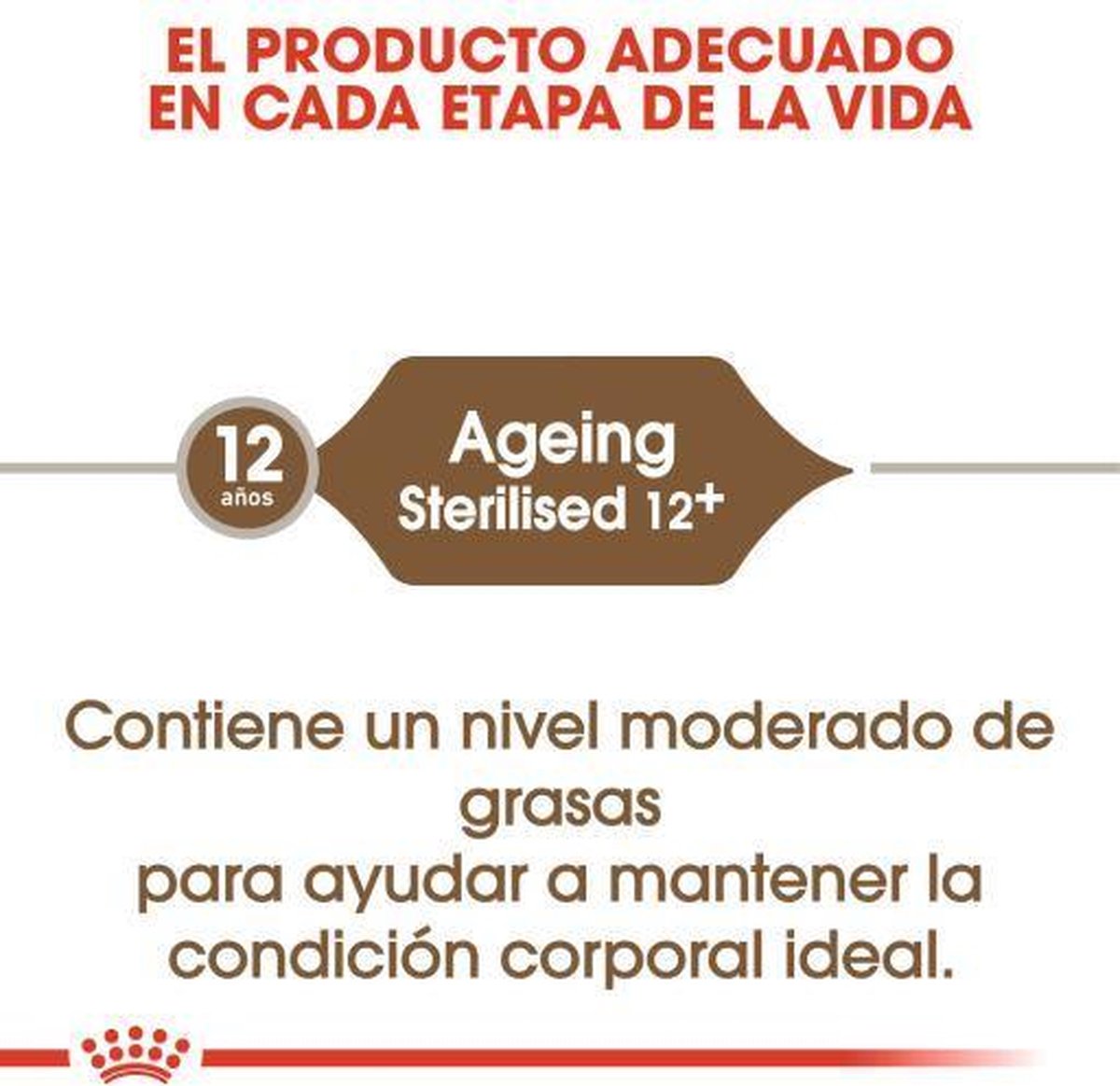  Royal Canin Ageing Sterilised 12+ - Kattenvoer - 2 Kg