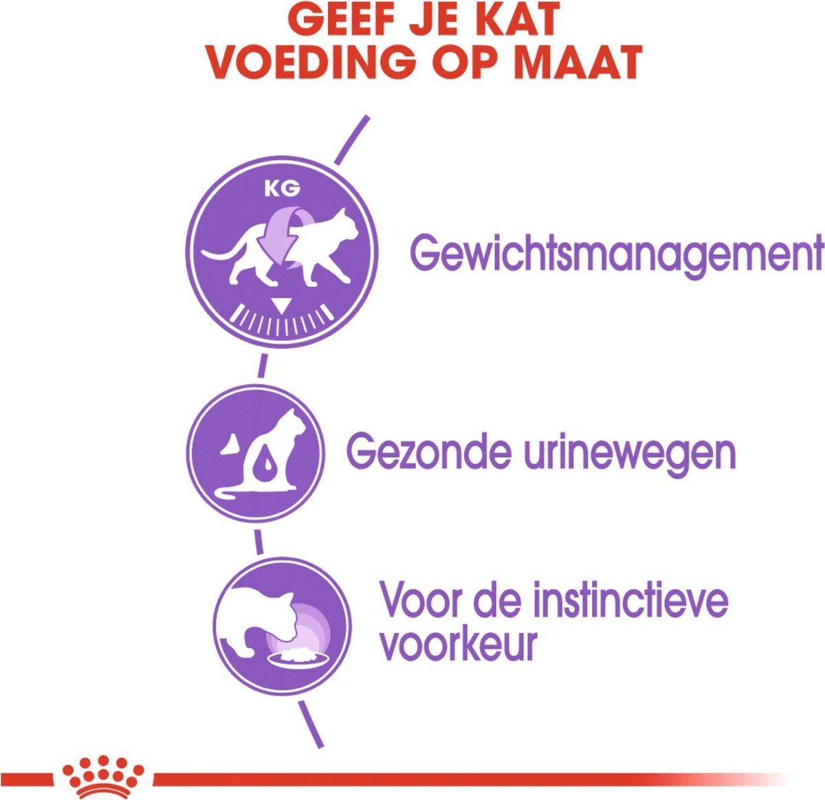  Royal Canin Sterilised In Jelly - Kattenvoer - 1020 G