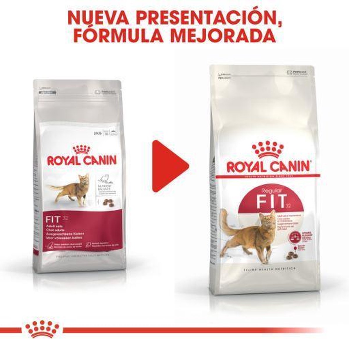  Royal Canin Fit 32 - Kattenvoer - 10 Kg