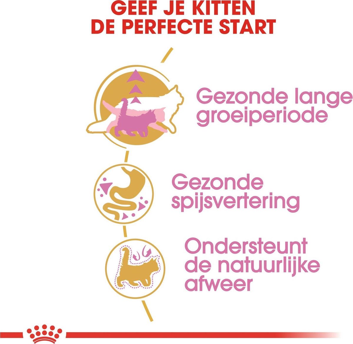  Royal Canin Maine Coon Kitten - Kattenvoer - 4 Kg
