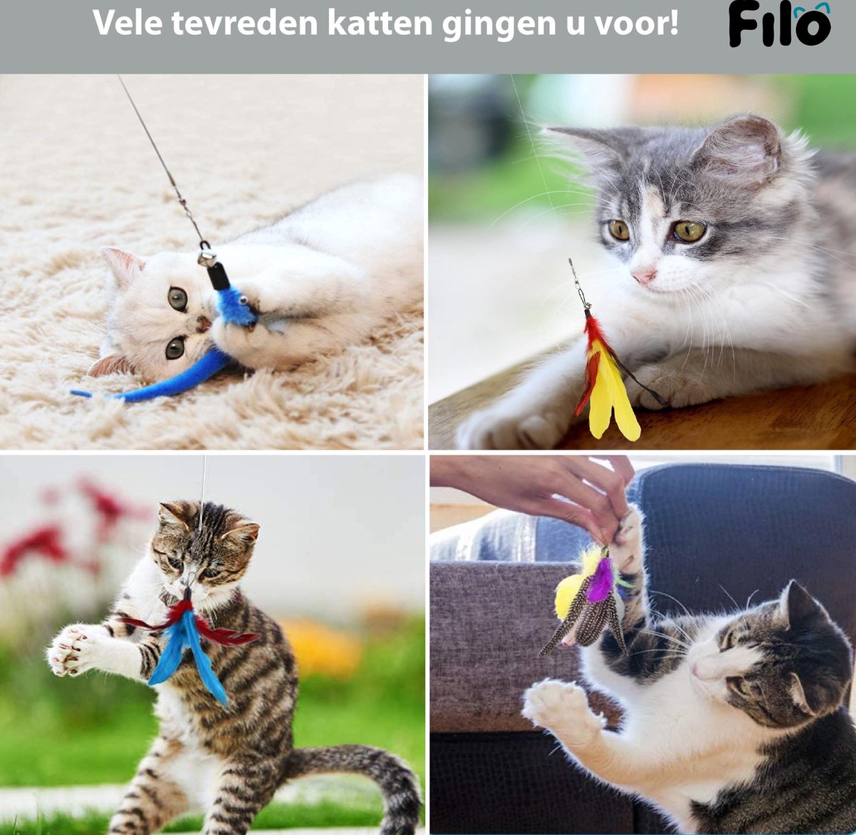  Filo Kattenhengel Set + 12 Kattenspeeltjes – Speelhengels Interactief Kattenspeelgoed – Hengel Kattenspeeltje Kittens - Speelgoed Speelhengel Vis Kat En Kitten