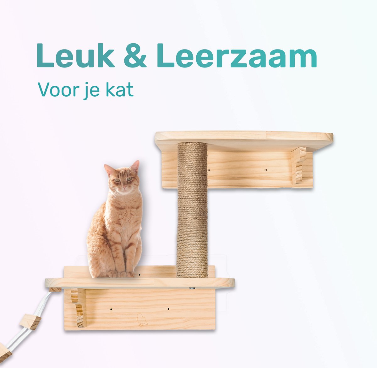 LBB - Katten Klimmuur - Ladder En Krabpaal - Katten Klim Wand - Krabpaal Muur - Klimmuur Kat - Krabpaal Voor Grote Katten