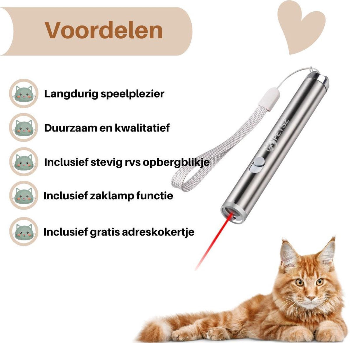  Laserpen - Kattenspeeltjes - Zaklamp - Kat - Laser - Kattenspeelgoed - RVS Opbergblikje