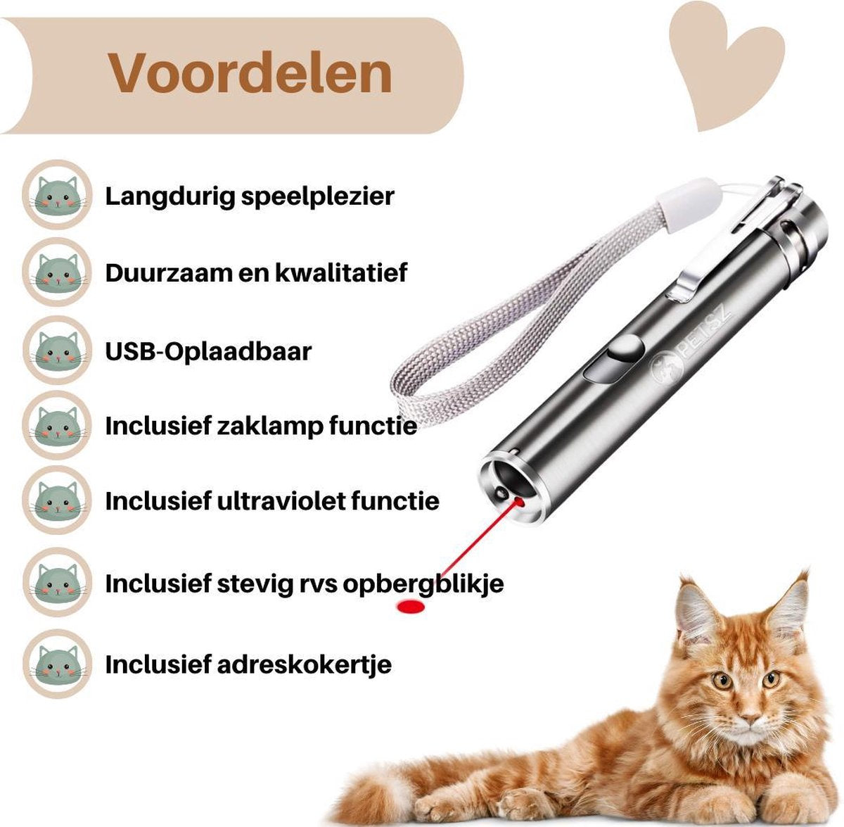  Laserpen - USB - Kattenspeeltjes - Zaklamp - Kat - Laser - Kattenspeelgoed - RVS Opbergblikje