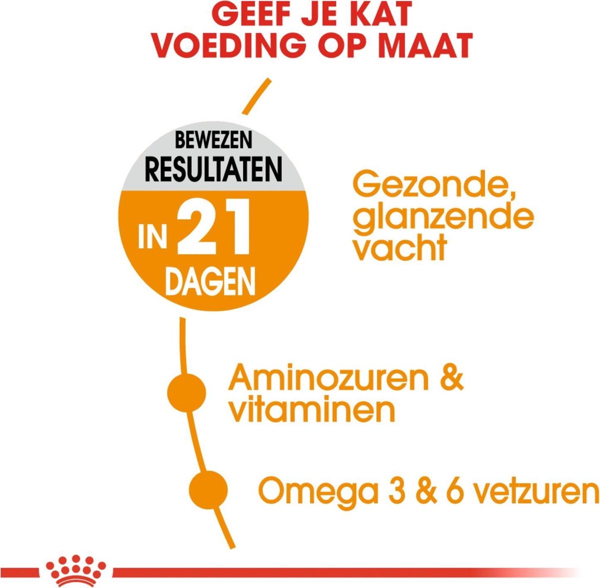  Royal Canin Hair &amp; Skin Care - Kattenvoer - 2 Kg