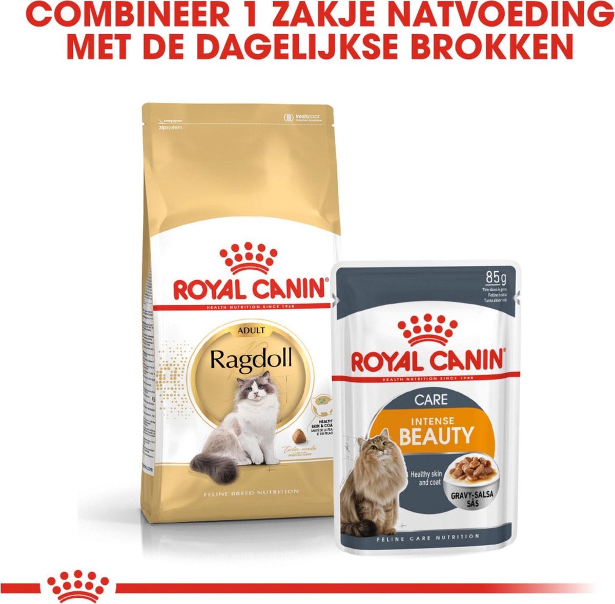  Royal Canin Ragdoll Adult - Kattenvoer - 10 Kg