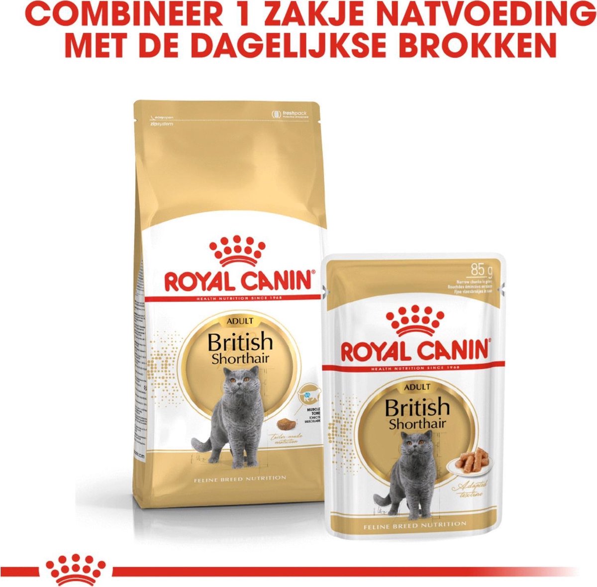  Royal Canin British Shorthair Adult - Kattenvoer - 2 Kg