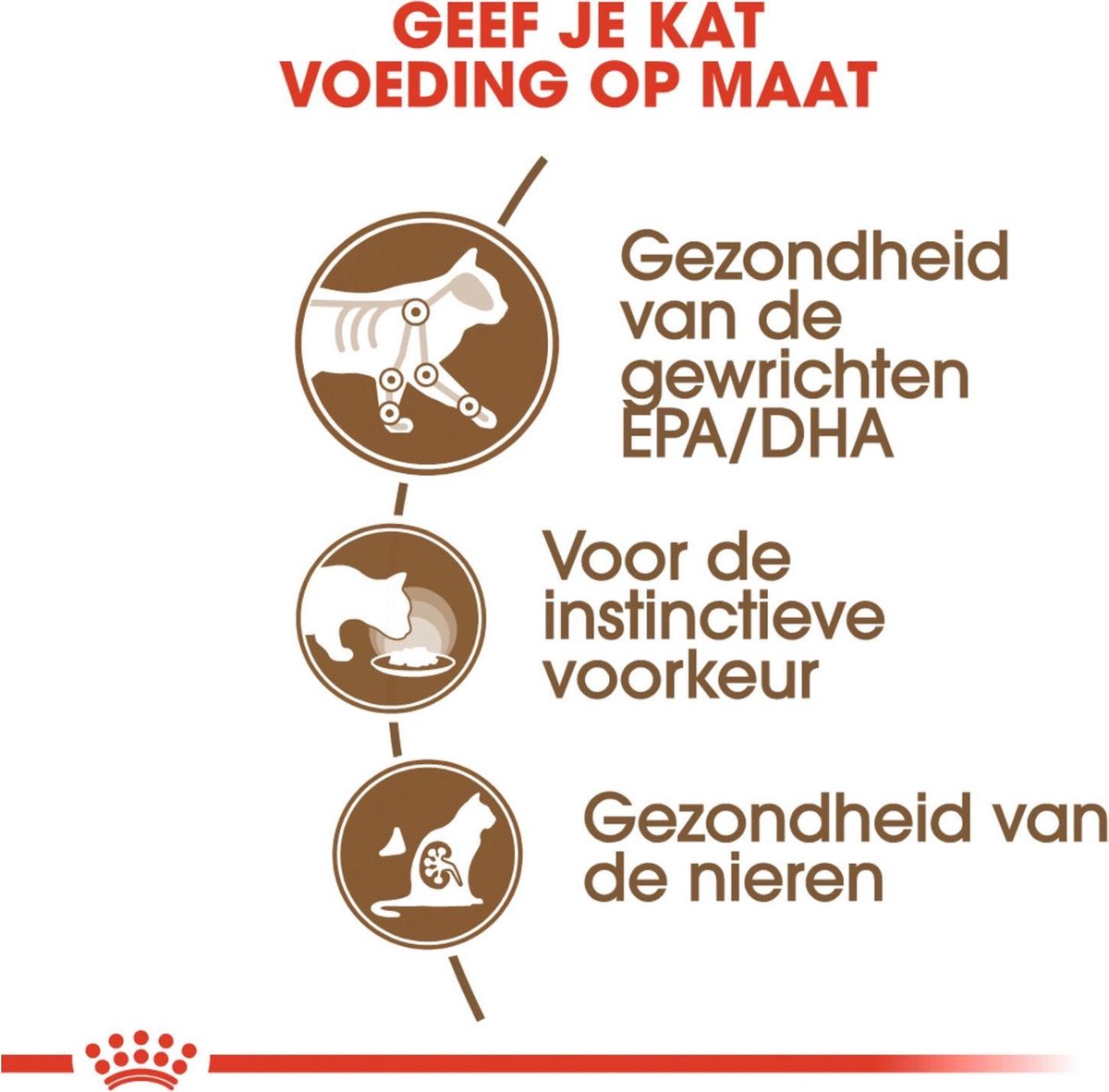  Royal Canin Wet Ageing 12+ (12X85 GR)