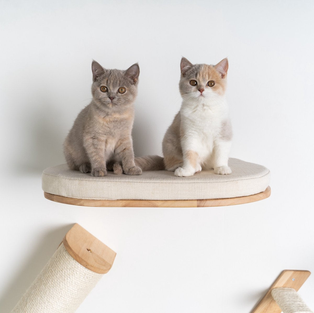  RHRQuality Wandmeubel Wandmontage Klimmuur Kat 53 X 43cm Luxe Kattenbed Creme Wand Muur Krabpaal Katten Muurbevestiging