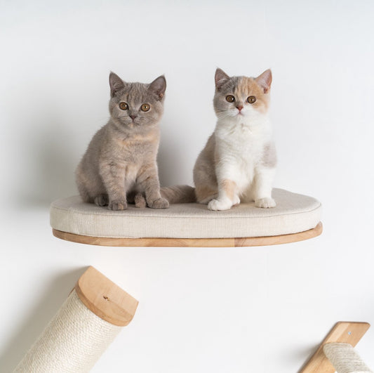  RHRQuality Wandmeubel Wandmontage Klimmuur Kat 53 X 43cm Luxe Kattenbed Creme Wand Muur Krabpaal Katten Muurbevestiging