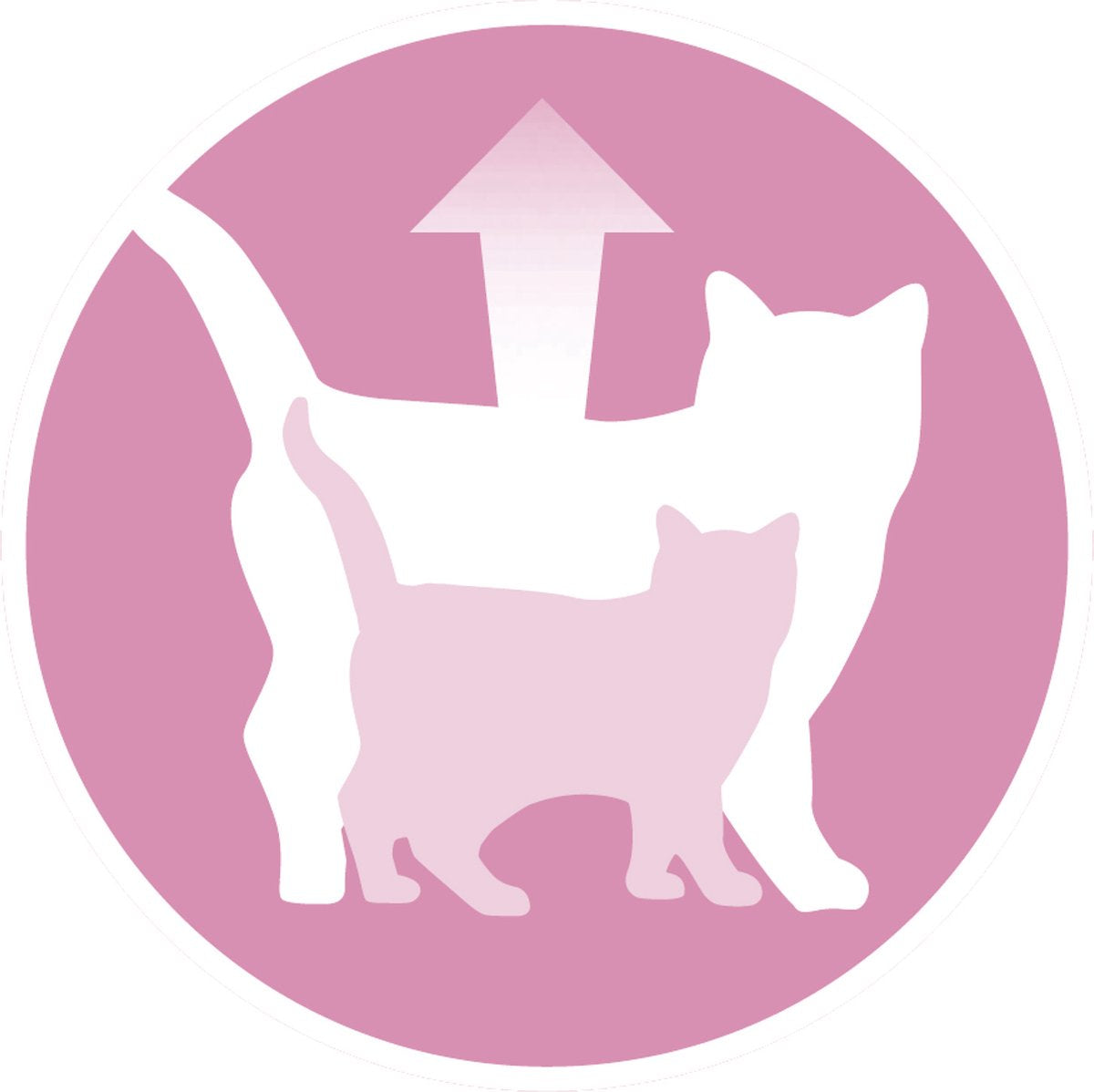  Purina ONE Junior - Kip/Granen - Kattenvoer - 800 G