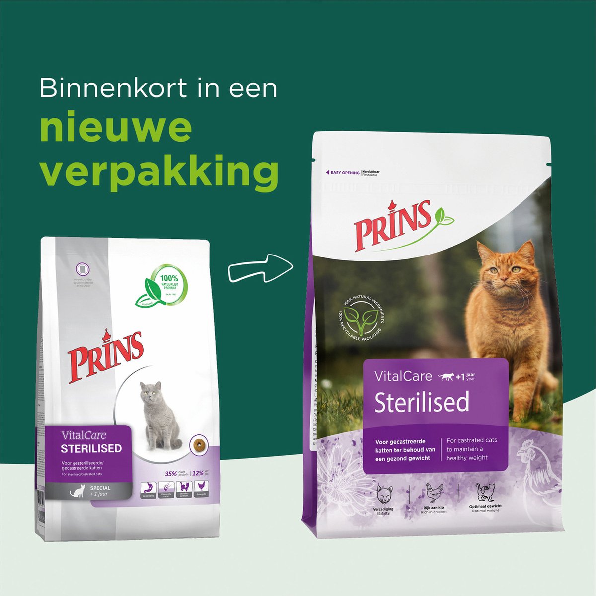  Prins VitalCare Sterilised 4 Kg - Kat