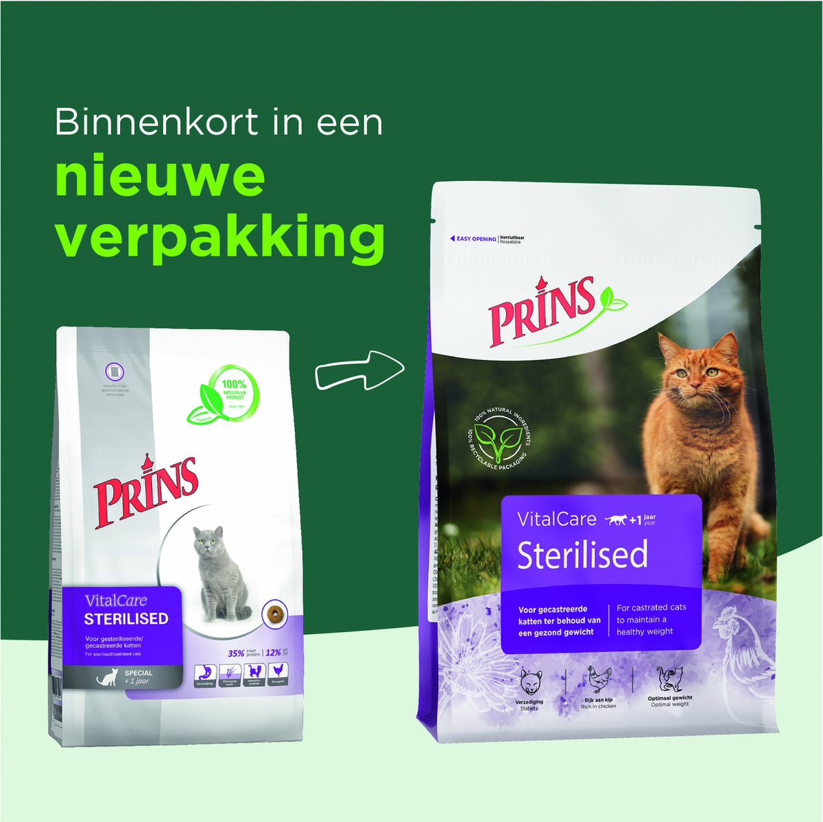  Prins VitalCare Sterilised 4 Kg - Kat