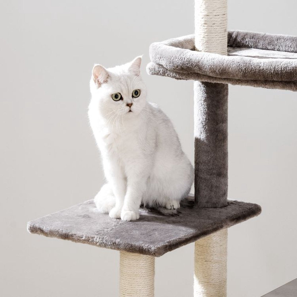  Signature Home Catty Krabpaal Met Kattenbak - Kattenbakkast - Kattenhuis Met Deur En Slot - Krabpalen Met Hangmat Mand Katten Huis - Kattenbakmeubel Verborgen - Alles-in-één Kattenspeelgoed Met Kattenhuis - Grijs - 60cm X 150cm X 48cm