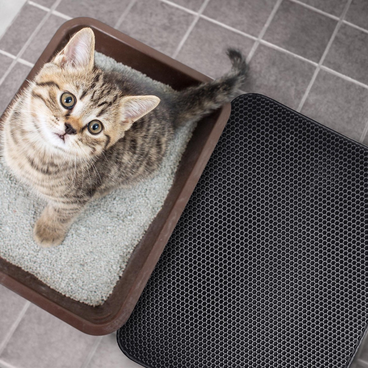 Merkloos Tastelio XXL Kattenbakmat 75x55cm - Groot Kattenbak Mat Met Innovatieve Honingraatstructuur - Dubbele Waterdichte Laag - Katten Bak Mat Met Eenvoudige Reiniging Grit Opvanger