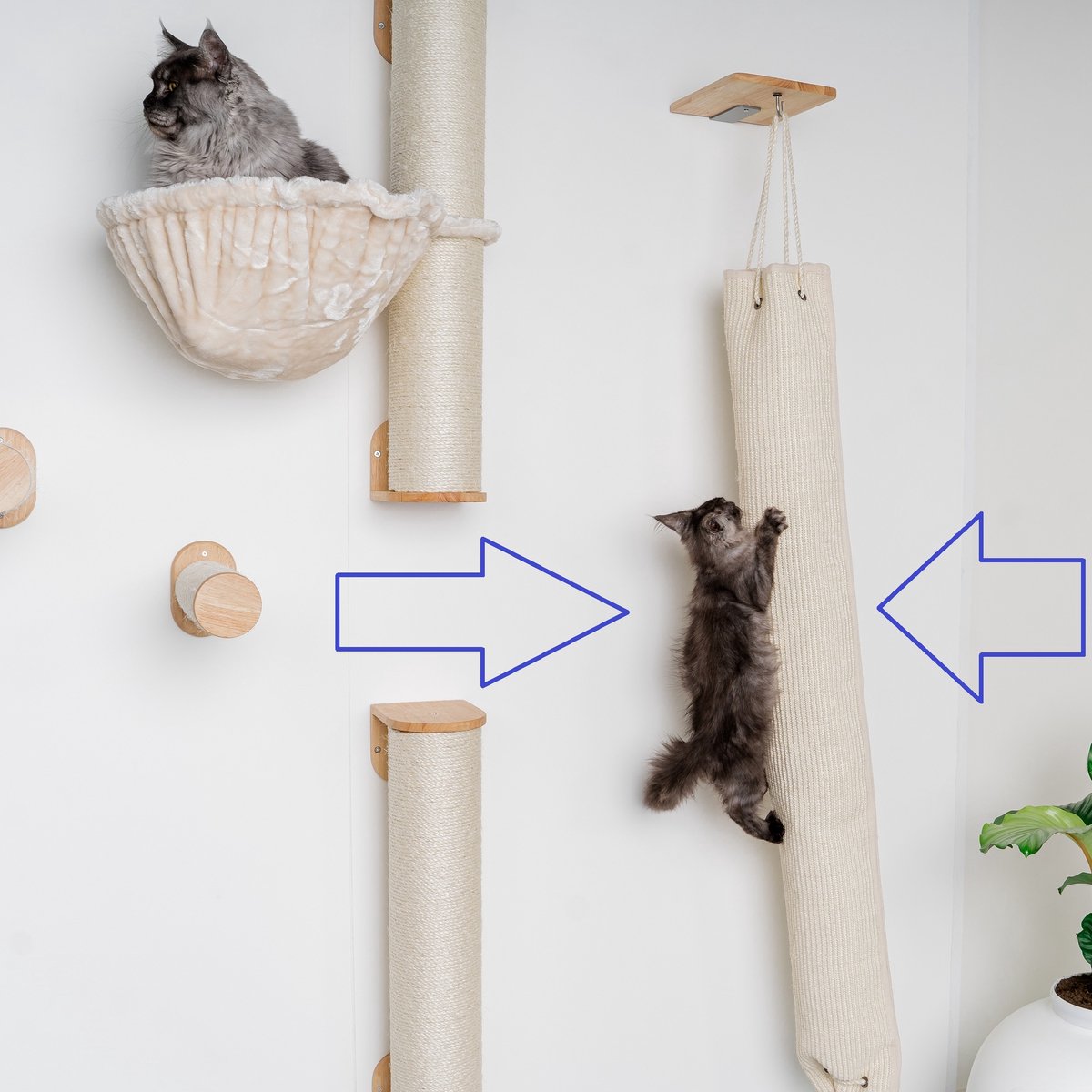  RHRQuality Wandmeubel Wandmontage Klimmuur Kat 175 X 16cm Klim En Klauterzak Beige Wand Muur Krabpaal Katten Muurbevestiging