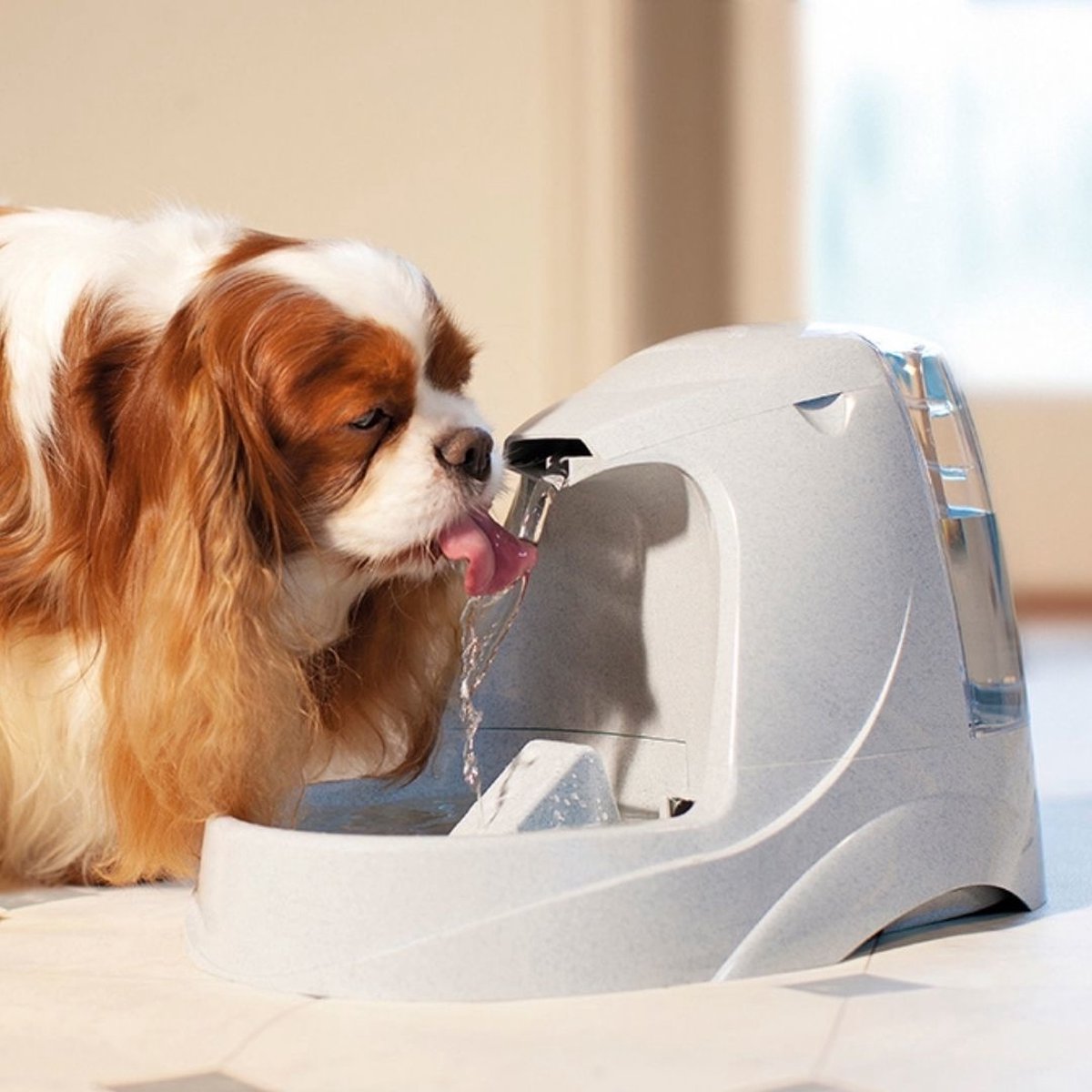  Petsafe Drinkwell Platinum - Drinkfontein - 5 L