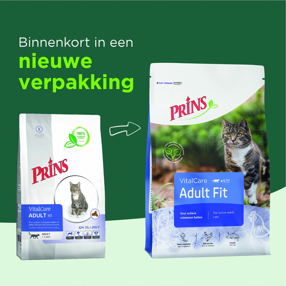  Prins VitalCare Adult Fit 4 Kg - Kat