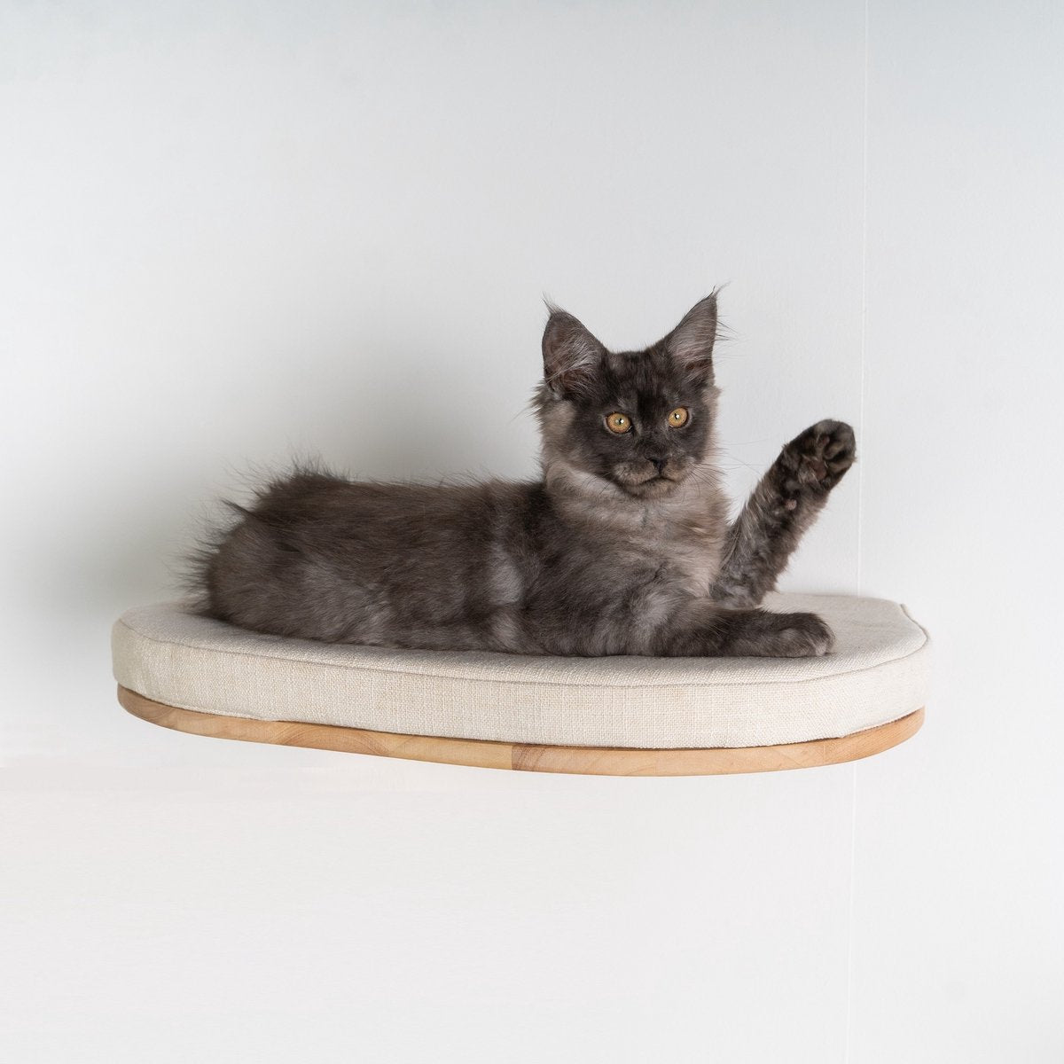 RHRQuality Wandmeubel Wandmontage Klimmuur Kat 53 X 43cm Luxe Kattenbed Creme Wand Muur Krabpaal Katten Muurbevestiging