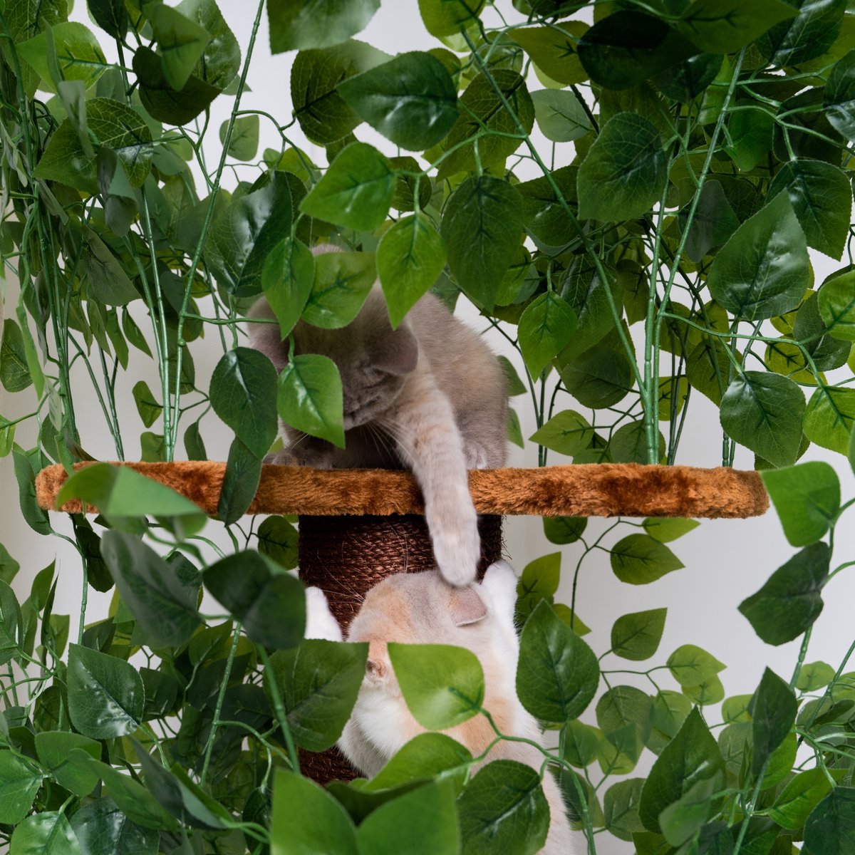  RHRQuality Krabpaal Design Natural Leaves Bruin Met Bladeren