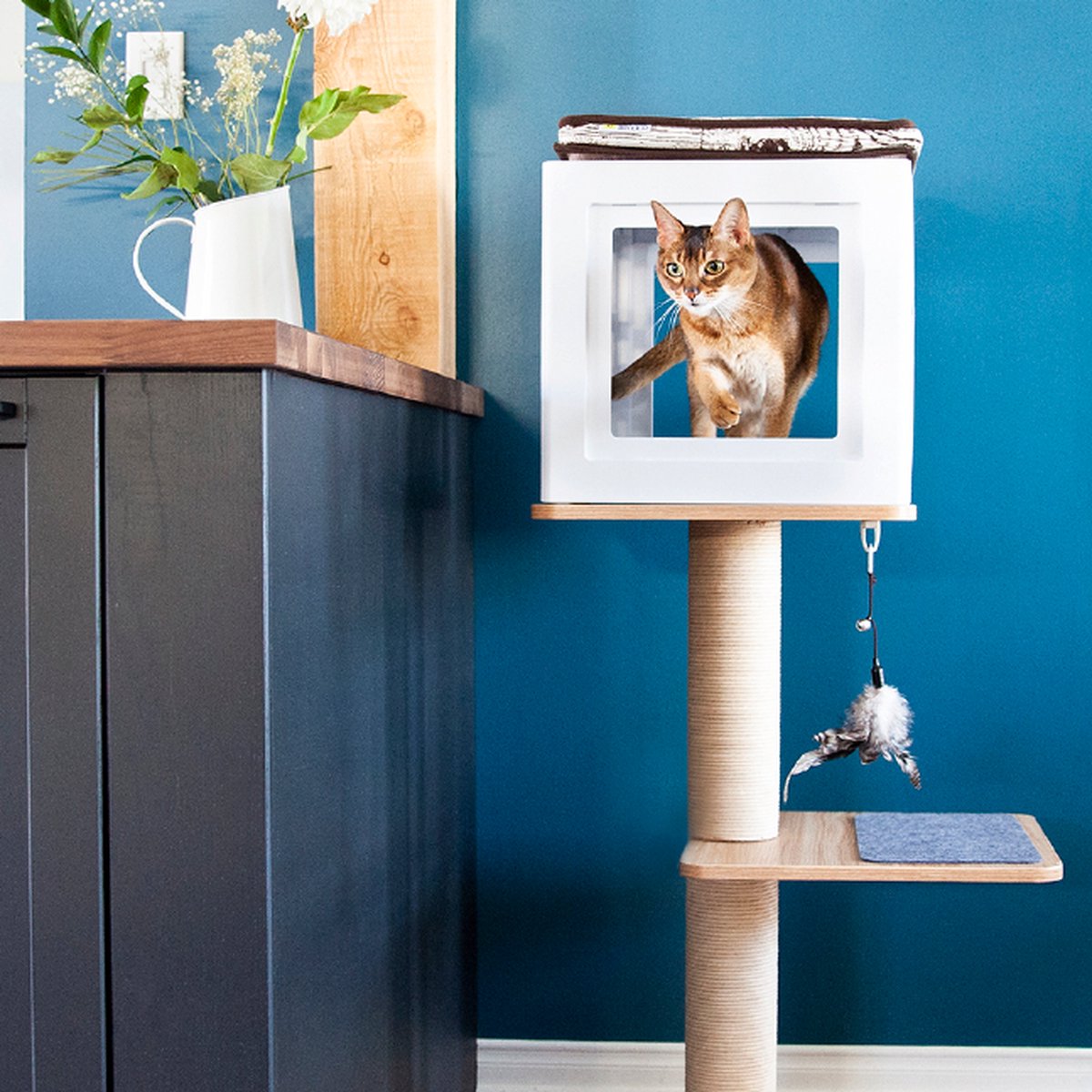 BeOneBreed Katt3 EVO Classic Natural – Krabpaal Voor Katten – Inclusief Memory Foam Kussen, Vilten Mat En Hangspeeltje – Gelamineerd Hout - Afmetingen 42,5 X 37,5 X 76 Cm